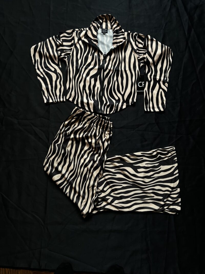 Leopard Print Corset Top & Flared Pant Set - Image 3