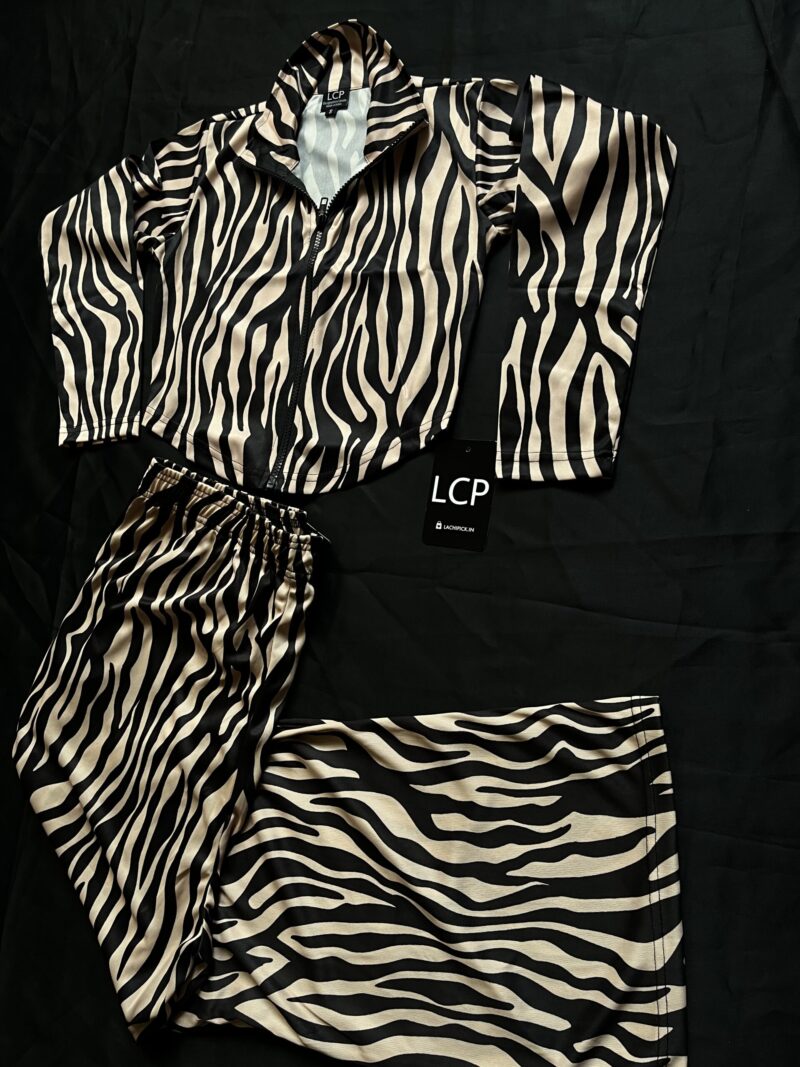 Leopard Print Corset Top & Flared Pant Set - Image 2